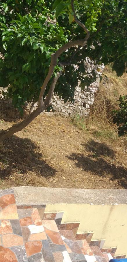 Holidays In Saranda 外观 照片